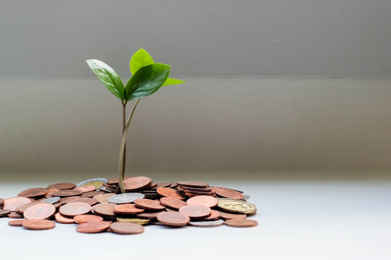 Marketing Budget for Small Service Business